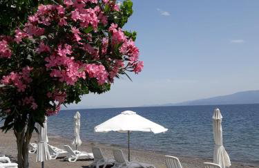 Posidonia Pension - Photo 12