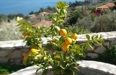 Athina EcoFarm - Foto 18