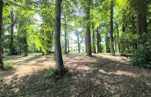 Herrenhaus Harmshagen - Foto 17