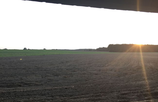 Ferienhaus Mirow-Lärz - Kamin Wald Ruhe - Foto 46