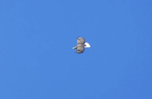 Stoer Pods - Quinag Pod - Foto 29