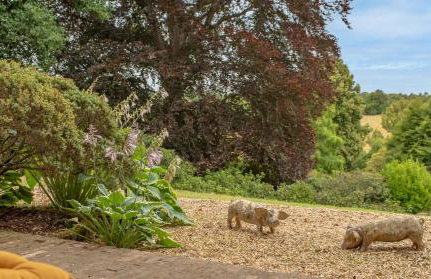 Countryside retreat set within beautiful woodlands with easy access to Henley On Thames - Foto 10