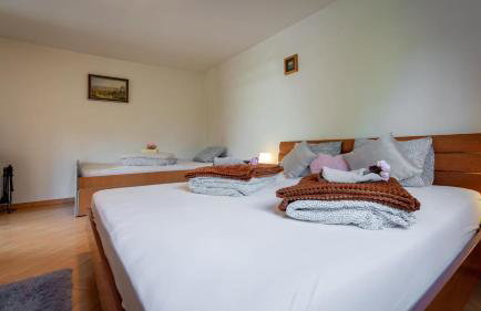 Planinski Raj House with 2 Apartments for 10 Guests - Foto 36