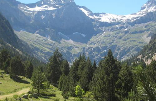 Apartamentos Casa Pochetas - Photo 71