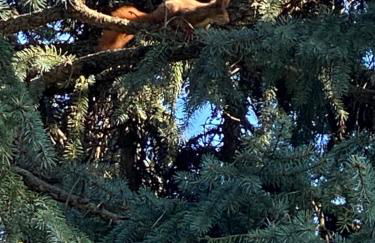 Maison Montello - Foto 33