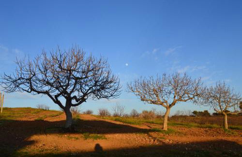 Casa Rural la Vallejera - Foto 80
