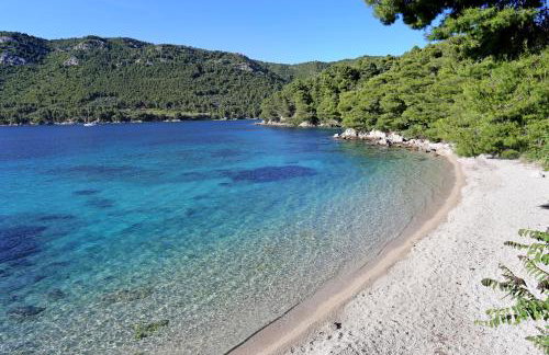 Apartments by the sea Zuljana, Peljesac - 10233 - Foto 35