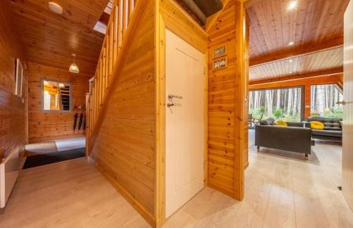 Woodpecker - Photo 7