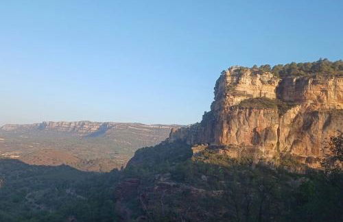 VINYES DEL PRIORAT - Foto 20