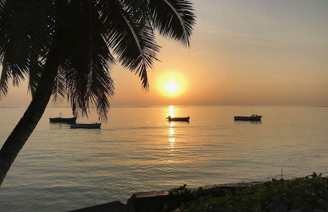 Dar and Douce - Photo 27