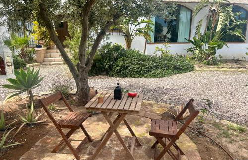 La Washingtonia - Foto 77