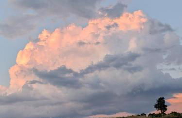 La cabane de romane - Foto 17