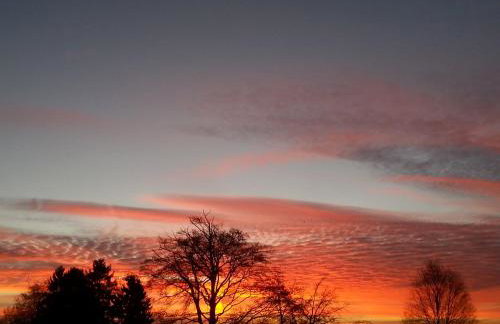 Ferienwohnung Palm - Foto 37