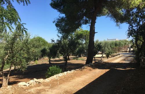 Riserva Ancelle - Foto 38