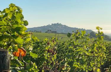 Le Piton - Appartements - Foto 42