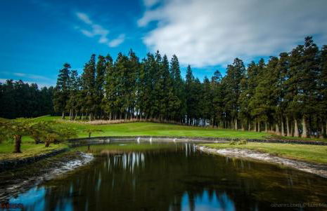 Casa Sousa Ribeiro - Photo 46