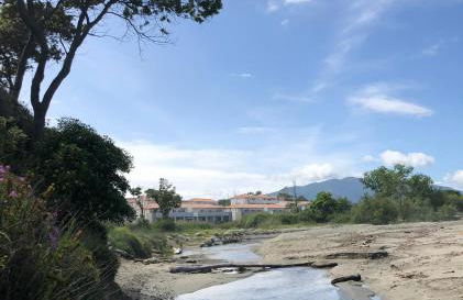 Appart. en Corse t3 bord de mer et piscine. N 143 - Foto 8