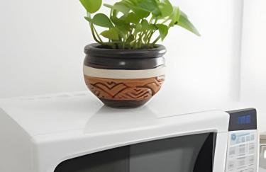 Temporada Cuiabana - Foto 75