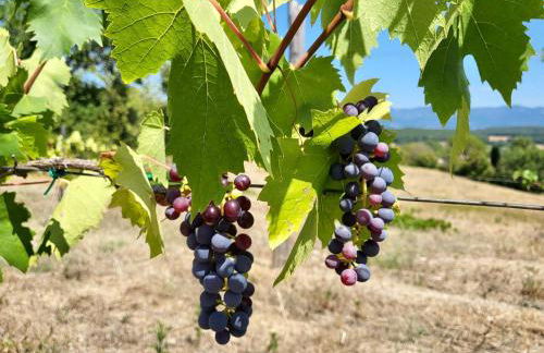 Luxury 1-bedroom house with the pool in Tuscany. - Foto 15