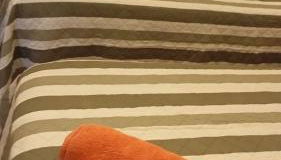 EL BALCÓN DE LA PLAZA. - Foto 5