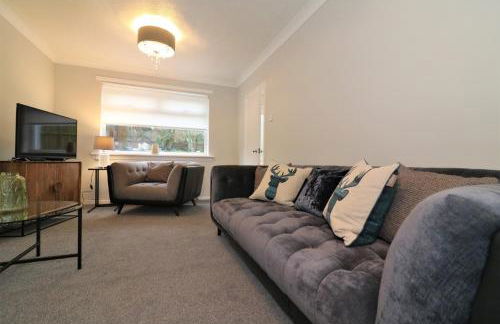 North View - Wishaw in Wishaw - Foto 85