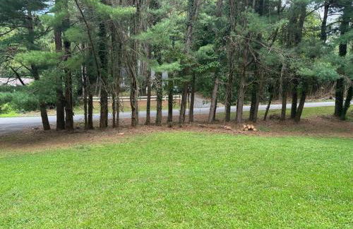 Chesapeake Holiday House - Foto 59