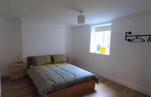 2 Bedroom Victorian Garden Flat - Foto 7