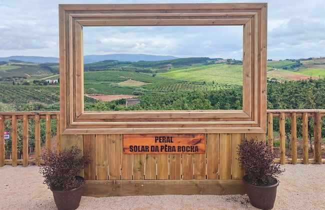 Cozy Vacation Rental in Peaceful Peral, Portugal - Photo 53