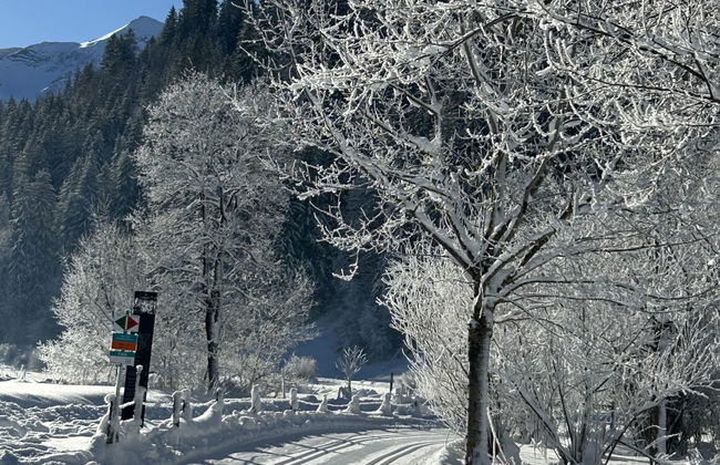 Chalet Claudia - Foto 15