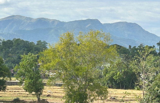 Scarlett Resorts at Laganas - Foto 22