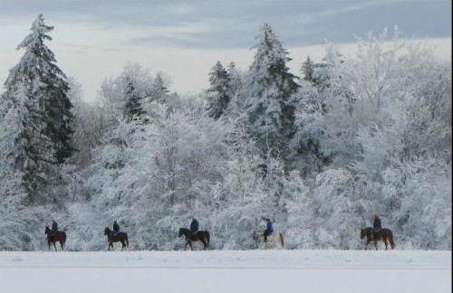 RF219 Hot tub,Heated garage and Parking - Foto 27