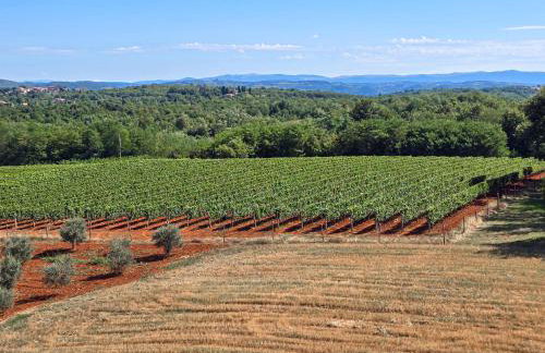 Villa Grisi by Istra Vacation - Foto 58