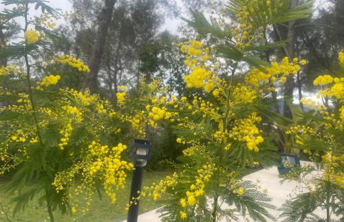 La villa des Carriers - maison avec piscine, 10 min mer - Foto 35