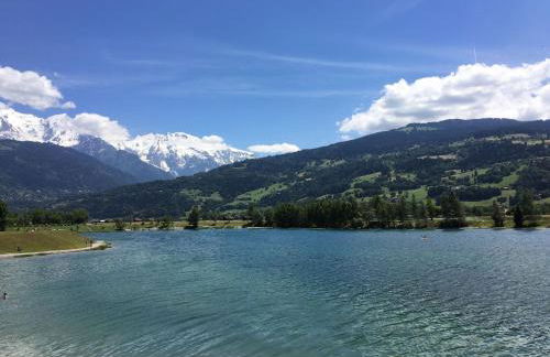 Fizhome Mt Blanc - Photo 6