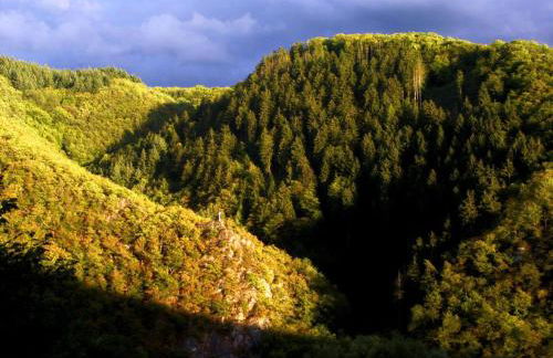 Apartment Chalet Wiedfluh in Waldbreitbach by Interhome - Foto 37