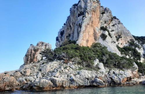 appartamento Oleandro - Foto 5