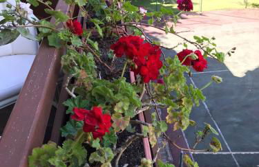 3 suites com Jacuzzi e Lareira - Duplex perto do Centro - Foto 33