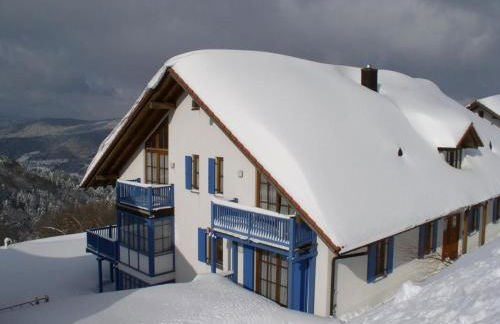 Ferienland Sonnenwald Studio 50 - Foto 6