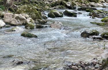 Gîte dans les Cévennes - Foto 3