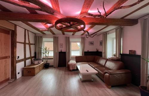 Zwischen Wald und Wiese - Foto 22