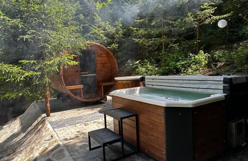 Chatka w Beskidzie Niskim - Foto 14