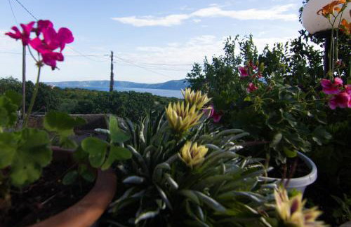 Apartment Magdic - Photo 29