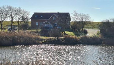 Ferienhaus Hemenswarft direkt an der Nordsee mit Meerblick - Foto 3