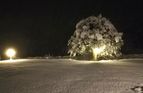 I tulipani - Foto 48