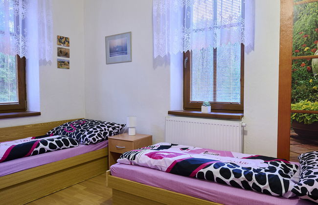 Zlata Olesnice - Foto 17