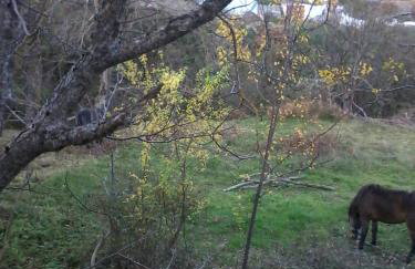 Stivakti Chalet - Foto 28