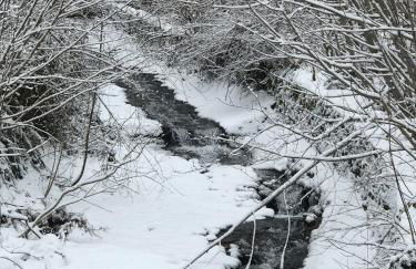 PRINCESSE DES NEIGES - Foto 19