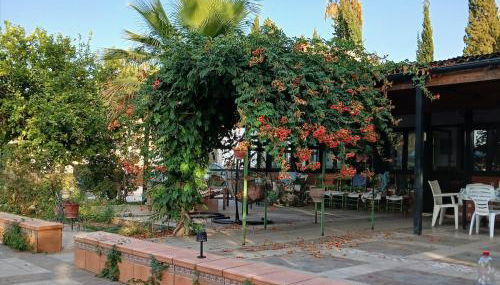 Spacious Garden Villa, private pool, huge grounds with orange trees - Foto 2, Garden, Garden view