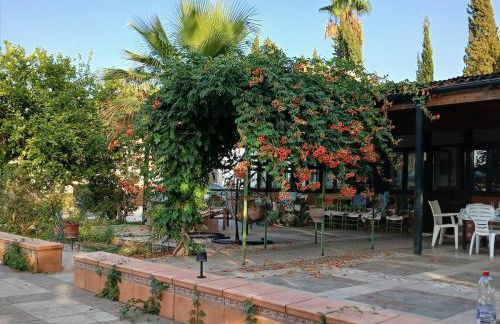 Spacious Garden Villa, private pool, huge grounds with orange trees - Foto 2