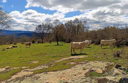 Casa Rural El Remolón - Foto 65
